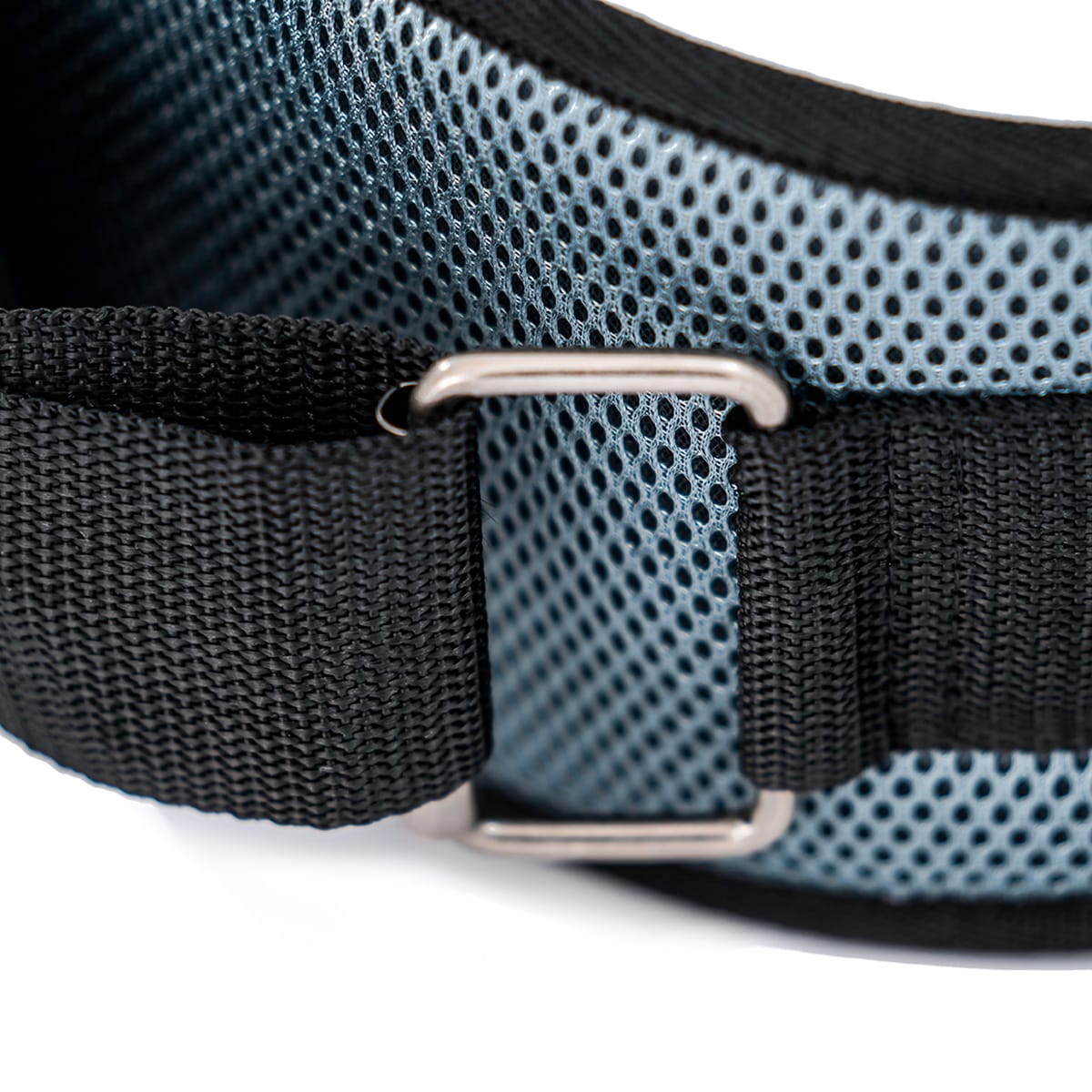 CINTURA MUSCOLARE EVERGY (9649081909526)