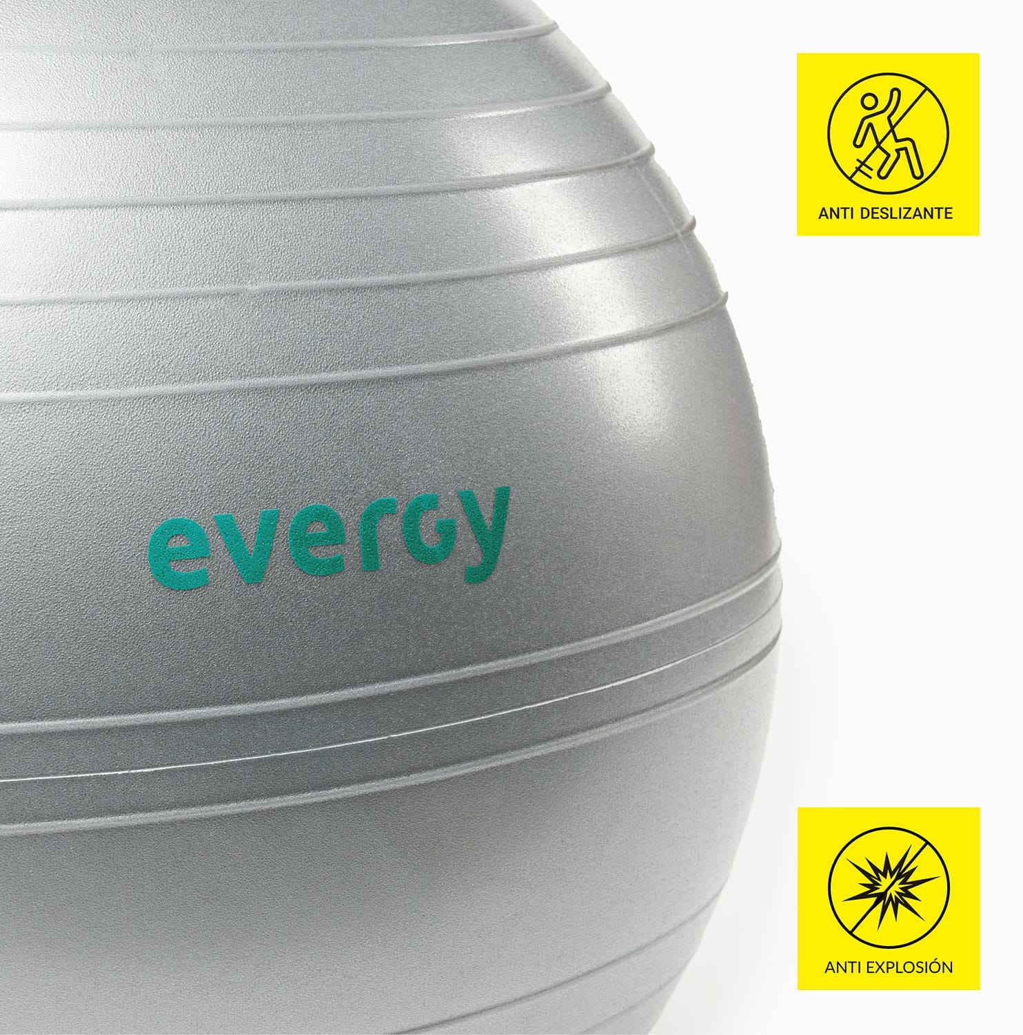 PALESTRA EVERGY (9626747633942)