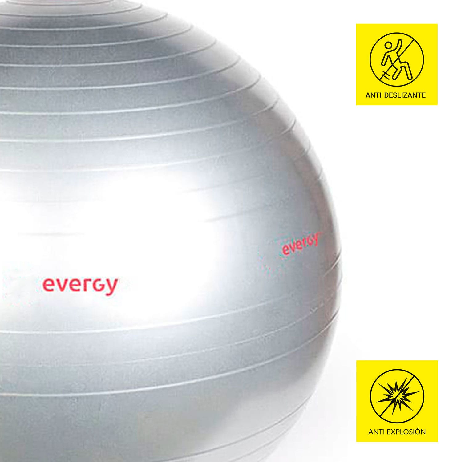 PALESTRA EVERGY (9626747633942)