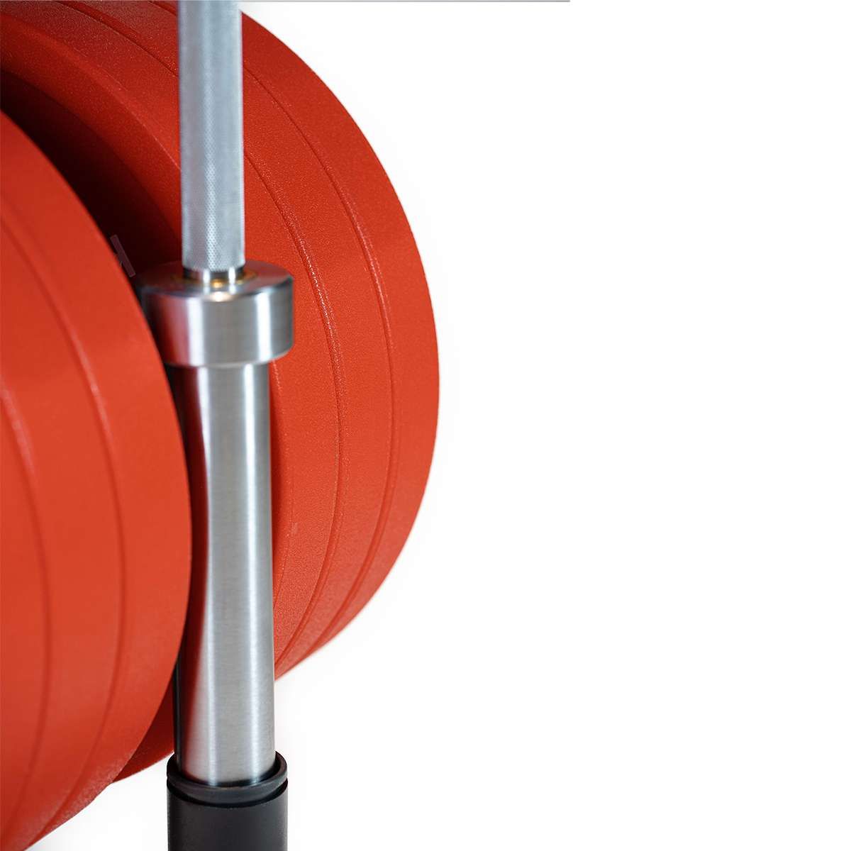 SOPORTE DISCOS BUMPER / BARRAS EVERGY VERTICAL (9626750943510)