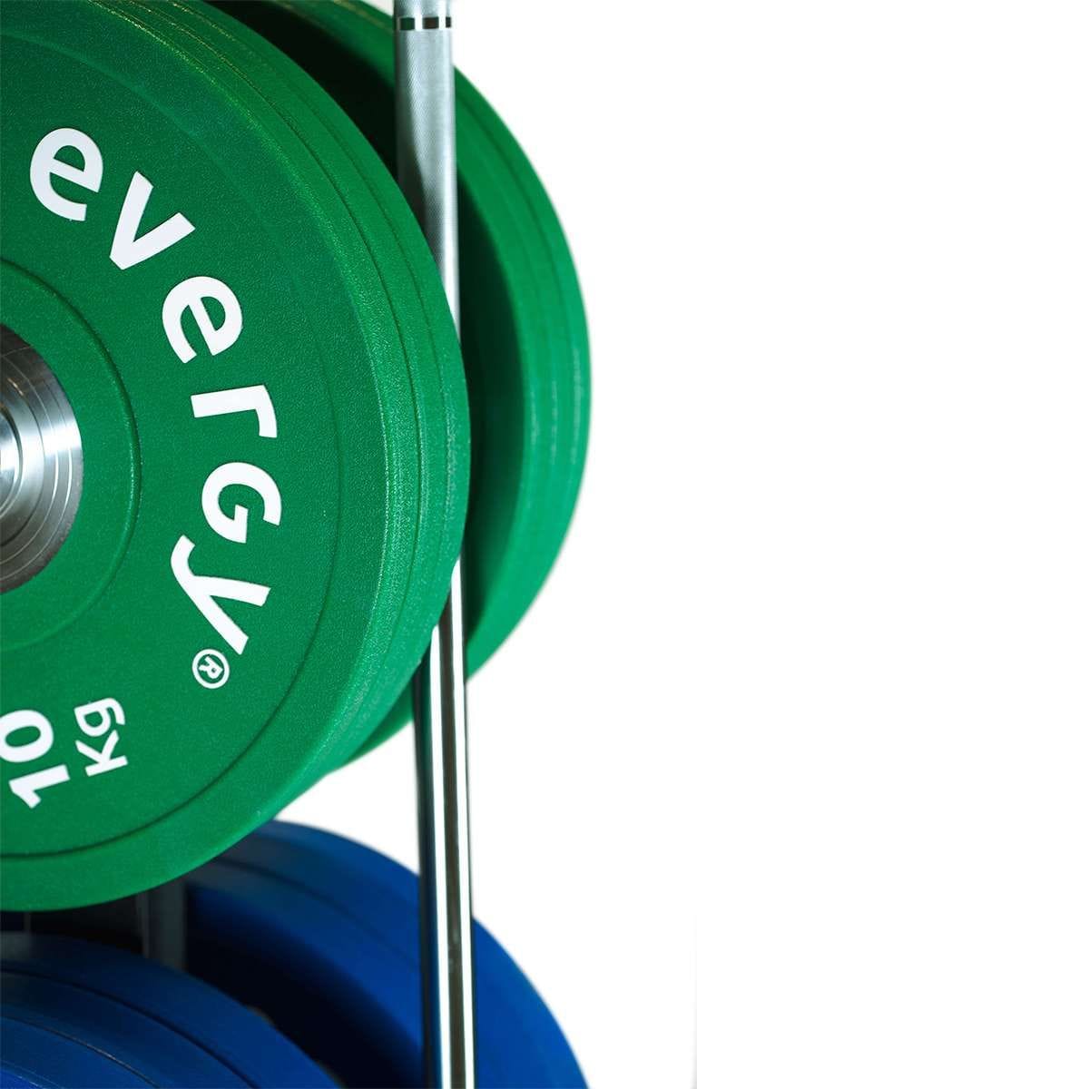 SUPPORTO DISCO / BARRE PARAURTI VERTICALE EVERGY (9626750943510)