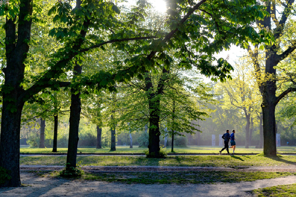 Disfrutar del aire libre y mantenerse en forma