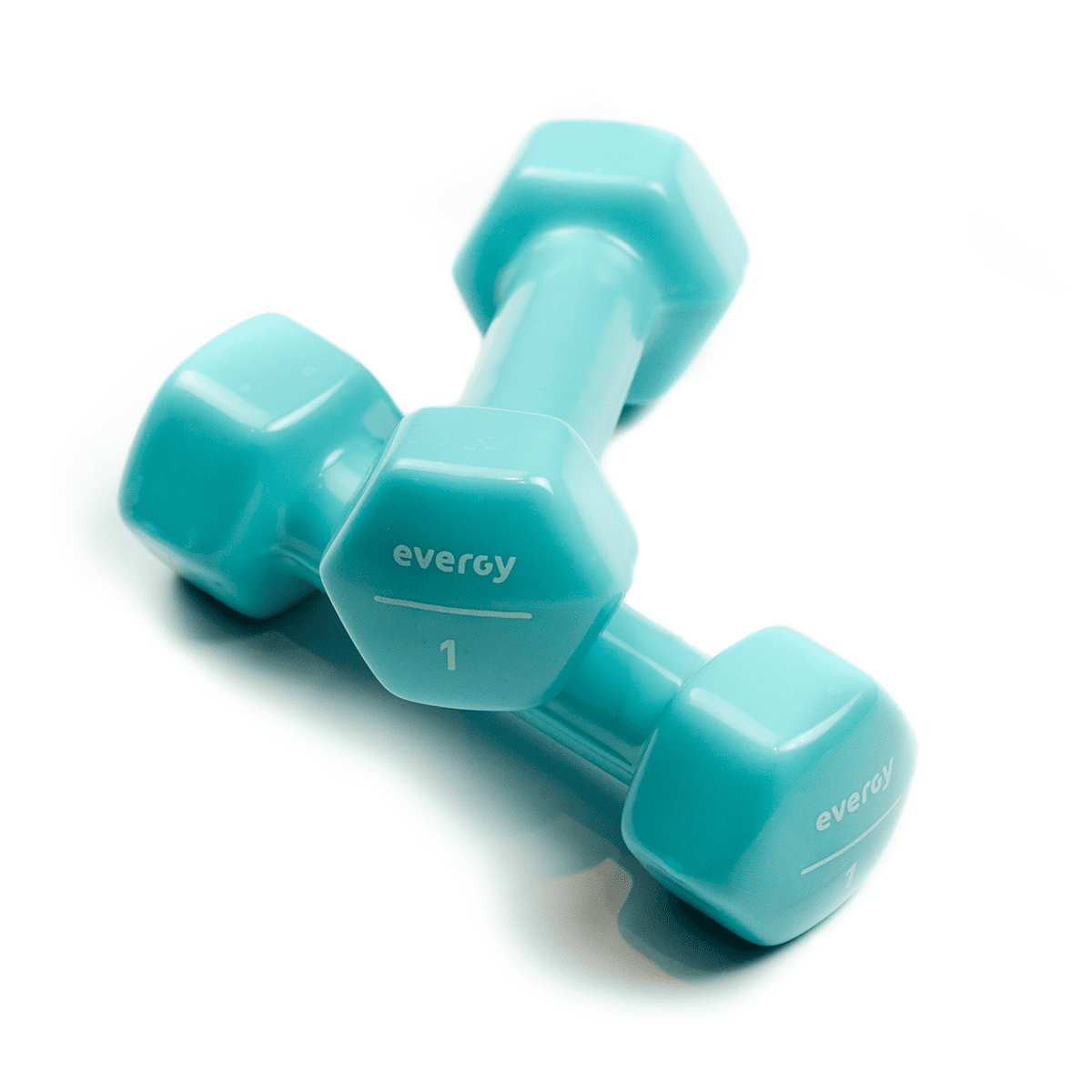 STUDIO EVERGY DUMBBELLS (PAIR)