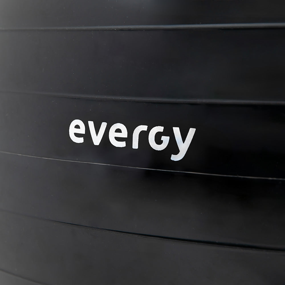 FITBALL EVERGY LIMITED (9626747273494)
