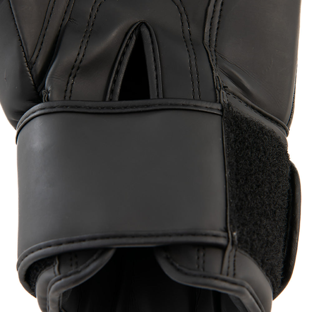 GANTS DE BOXE EVERGY LIMITED (PAIRE)