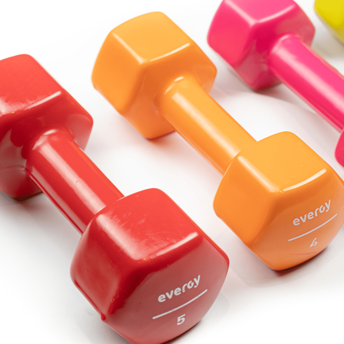 STUDIO EVERGY DUMBBELLS (PAIR)