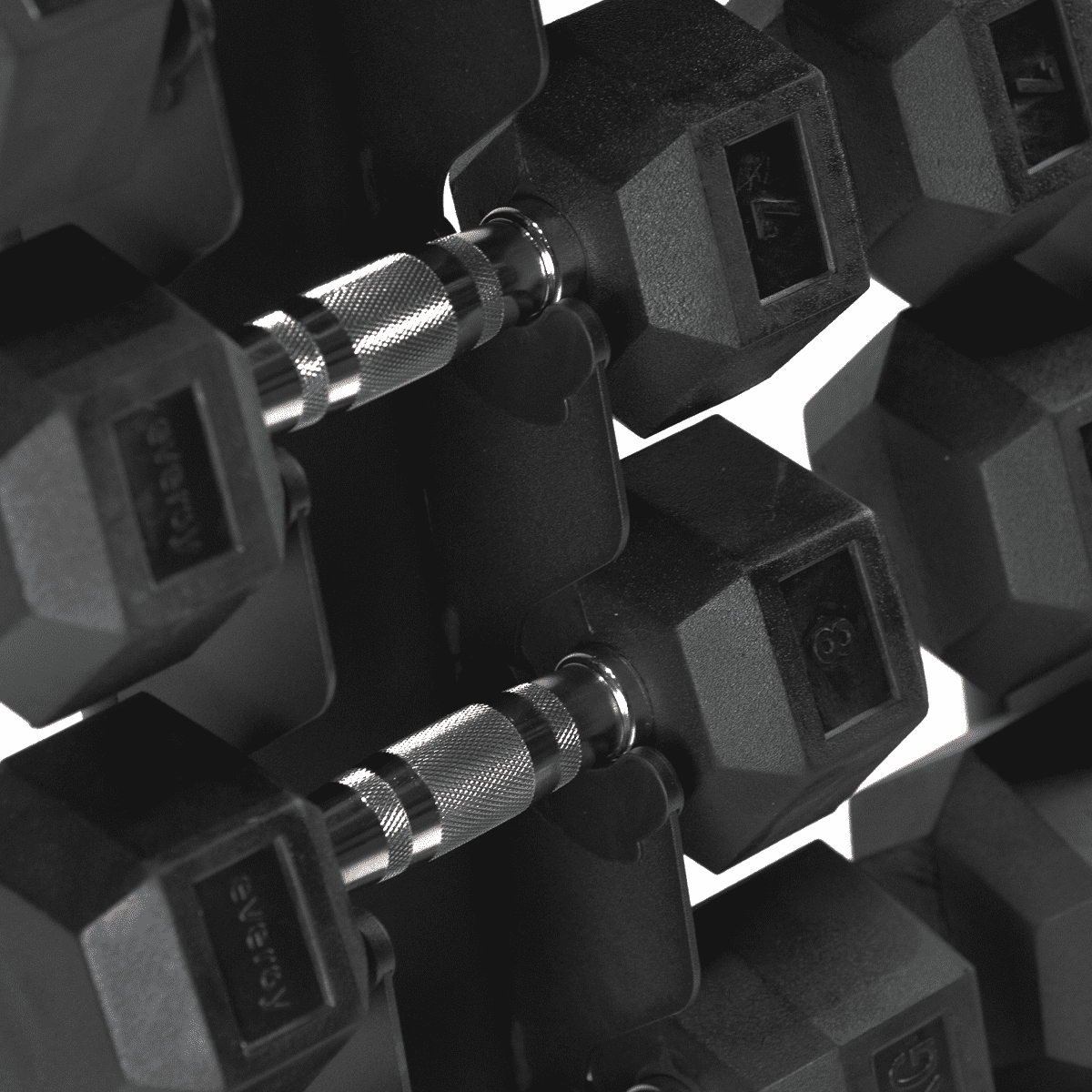 ELITE HEXAGON DUMBBELL SUPPORT / STUDIO ELITE VERTICAL EVERGY RUBBER